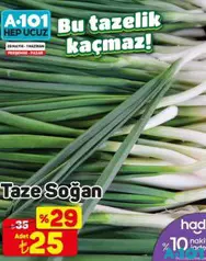 TAZE SOĞAN ADET TAZE SOĞAN ADET